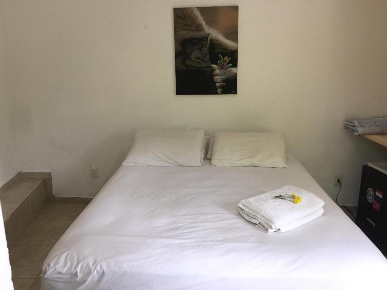 Butterfly Vanazul Guesthouse Rio de Janeiro Buitenkant foto